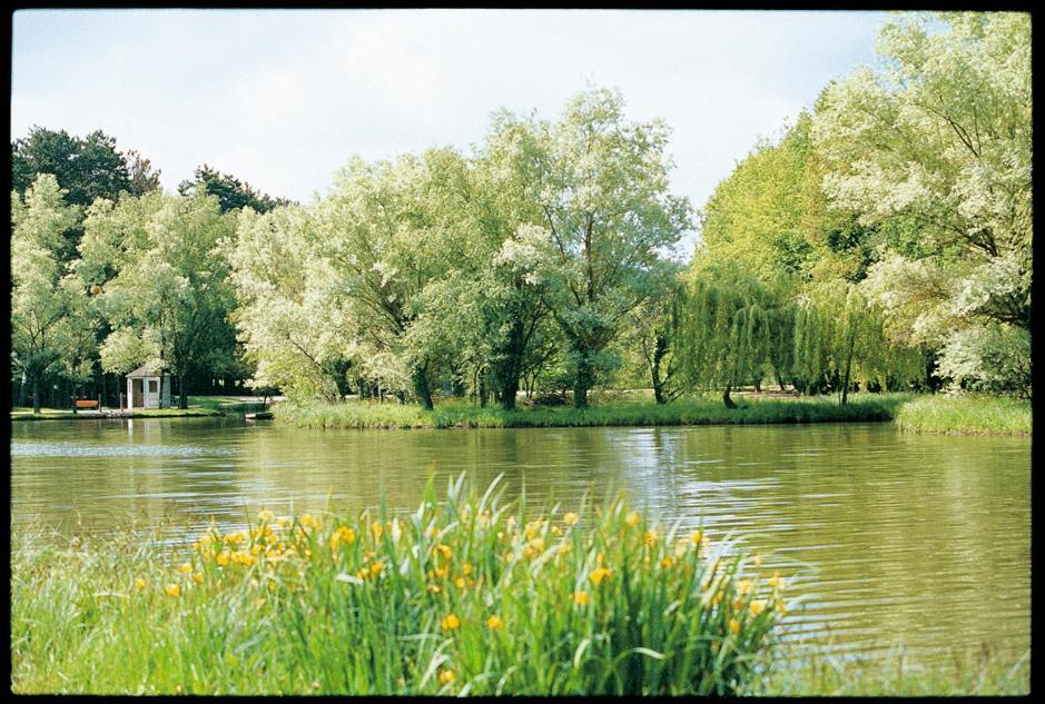 Hotel-Restaurant Du Lac Joué-lés-Tours Buitenkant foto